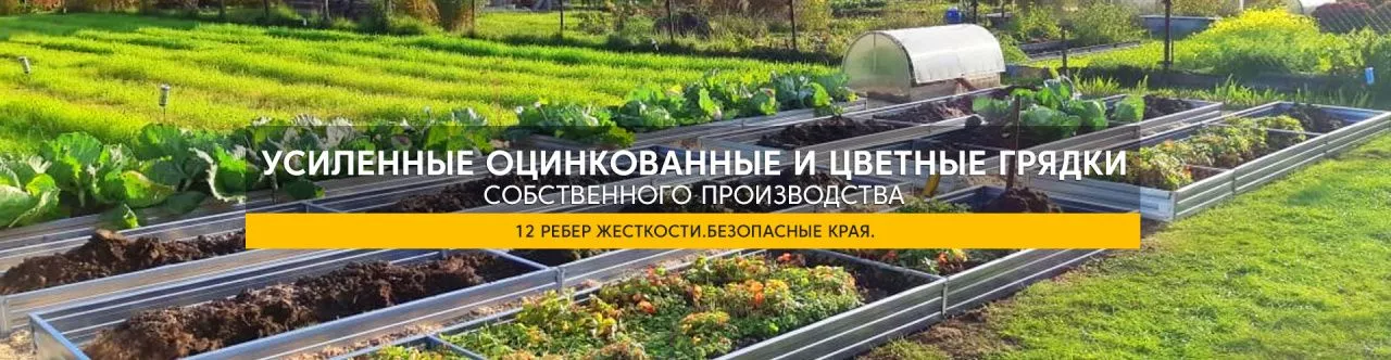 Детальная картинка раздела