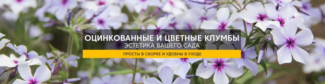 Детальная картинка раздела
