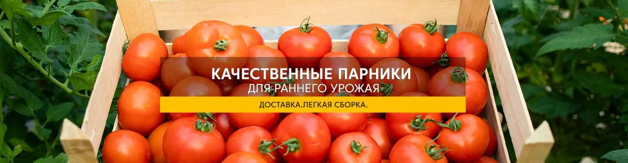Детальная картинка раздела